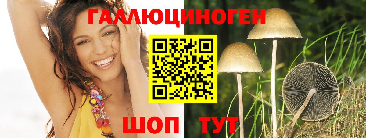 Псилоцибиновые грибы мицелий  Галлюциногенные грибы MAGIC MUSHROOMS  Вход с VPN  Гудермес 